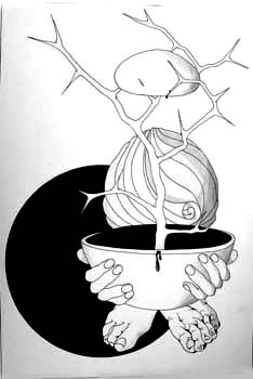 Poverty