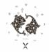 pisces